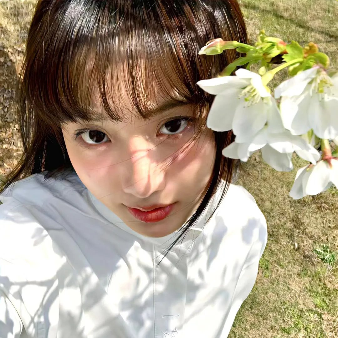 你好安妮